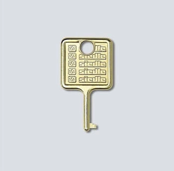 Siedle Türsprechanlagen-Montagezubehör Gold (210007018-00)