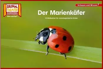 Hase und Igel Der Marienk&auml;fer &ndash; Kamishibai Bildkarten, 10 Fotobildkarten f&uuml;r das Erz&auml;hltheater