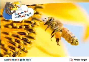 Mildenberger Verlag Kamishibai mit Eberhart &ndash; Kleine Biene ganz gro&szlig; (Set)