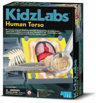 4M KidzLabs Experimentierkasten Human Torso (68484)