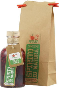 Mazzetti Infuso di Grappa e Fragoline 0,5l 21 %