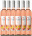 Gallo Family Spritz Peach & Nectarine 5,5%