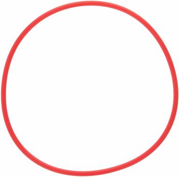 Olympus POL-053 O-Ring