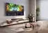 Hisense HS1000