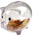 Macma Sparschwein transparent