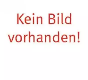 Ideal Gärtnerspaten (10010253)