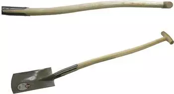 Ideal E1 Gr.2