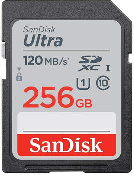 SanDisk Ultra SDXC 256GB (SDSDUN4-256GB-GN6IN)
