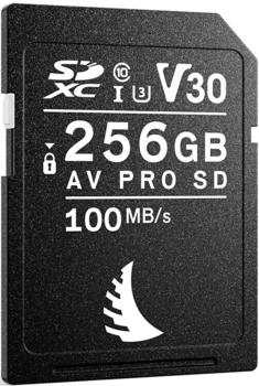 Angelbird AV Pro SD Card V30 256GB Angelbird AV Pro SD Card V30 256GB
