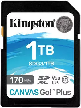 Kingston Canvas Go! Plus SDXC 1TB