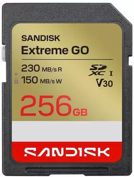 SanDisk Extreme Go U3 V30 SD 256GB