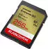 SanDisk Extreme Go U3 V30 SD 256GB