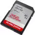 SanDisk Ultra GO SDXC 256GB