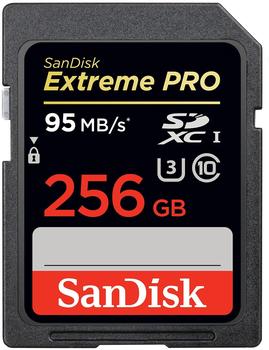 SanDisk SDXC Extreme Pro 256GB (SDSDXPA-256G-G46)