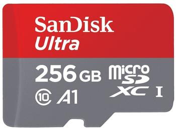 SanDisk Ultra microSDXC 256GB A1 (SDSQUAM-256G-GN6MA)