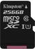 Kingston Canvas Select microSDXC 256GB (SDCS/256GBSP)