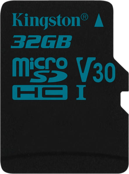 Kingston Canvas Go! microSDHC 32GB (SDCG2/32GBSP)