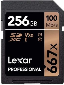 Lexar SDXC 256GB Class 10 UHS-I 667x V30