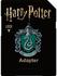 Emtec Harry Potter microSDHC 32GB Slytherin