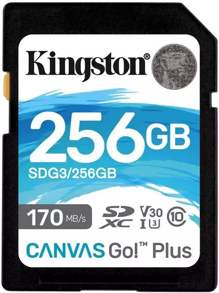 Kingston Canvas Go! Plus SDXC 256GB