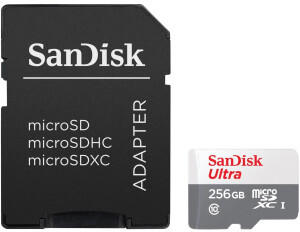 SanDisk Ultra Lite microSDXC 256GB (SDSQUNR-256G-GN6TA)