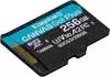 Kingston Canvas Go! Plus microSDXC 256GB