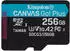 Kingston Canvas Go! Plus microSDXC 256GB