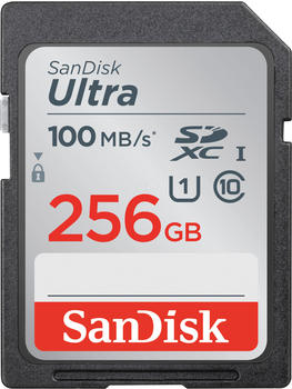 SanDisk Ultra SD Class 10 UHS I 256GB (SDSDUNR-256G-GN6IN)