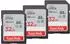 SanDisk Ultra SD (SDSDUN4-GN6IN)