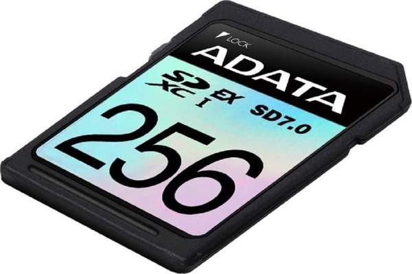 A-Data ADATA ASD256GEX3L1-C