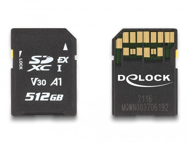 DeLock Express SDXC 512GB