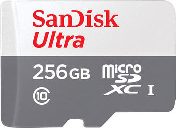 SanDisk Ultra microSDXC 256GB (SDSQUN4-256G-GN6T)