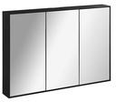 Lanzet woodblock spiegelschrank-einbau W1 101cm schwarz