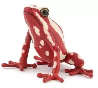 Papo Wildtiere der Welt Frosch mit Kopf nach oben 50315