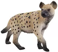 Mojo 387089, Mojo Wildlife Hyena