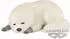 Banpresto Spy x Family Bond Forger (Fluffy Puffy Ver B) 8 cm