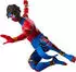 Hasbro Pavitr Prabhakar Spider-Man: Across The Spider-Verse Figur One Size (F9172)