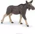Papo Wildtiere der Welt Weiblicher Elch 50310