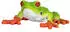 Mojo Froschfigur