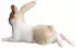 Besttoy Mojo Kaninchenfigur, liegend
