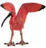Papo Ibis écarlate (50314)