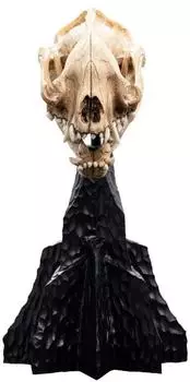 Weta Workshop Skull of a Warg Mini-Statue, 20cm