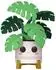 Funko POP! Plants Monstera
