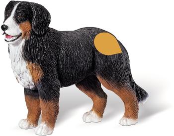 Ravensburger Tiptoi Berner Sennenhund