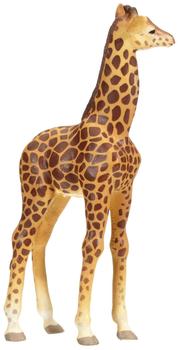 Ravensburger tiptoi - Giraffenjunges