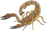 PAPO 50209, PAPO 50209 Skorpion
