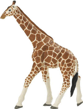 Safari Giraffe (111189)