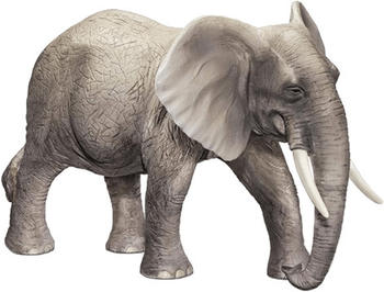 Ravensburger tiptoi - Afrikanischer Elefantenbulle