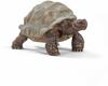 SCHLEICH 14824, SCHLEICH Spielzeugfigur Riesenschildkröte