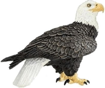 Safari Adler (291129)